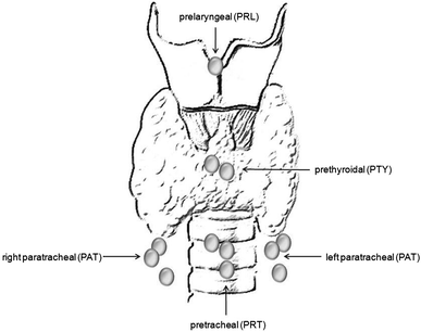 Pretracheal, paratracheal and prelaryngeal lymph nodes